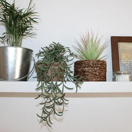 Flegreo 3* נאפולי